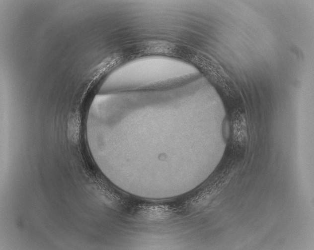 X0000115330304200912141225