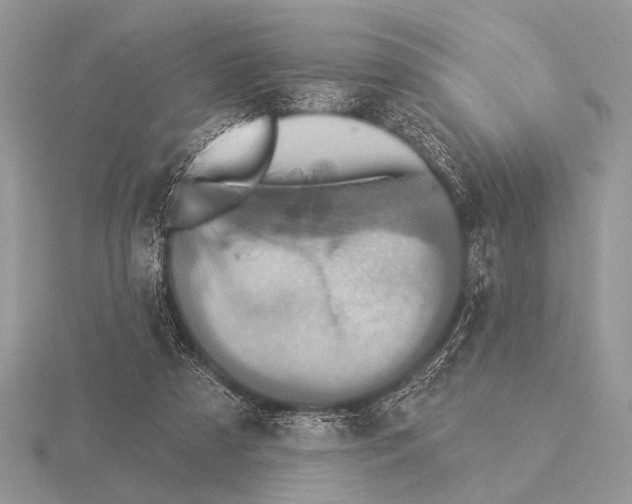 X0000115330305200912141225