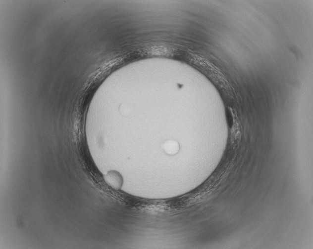 X0000115330306200912141225