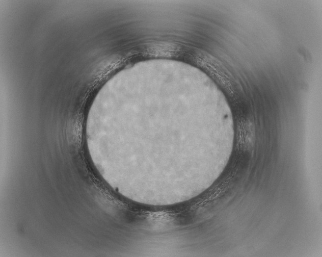 X0000115330309200912141225