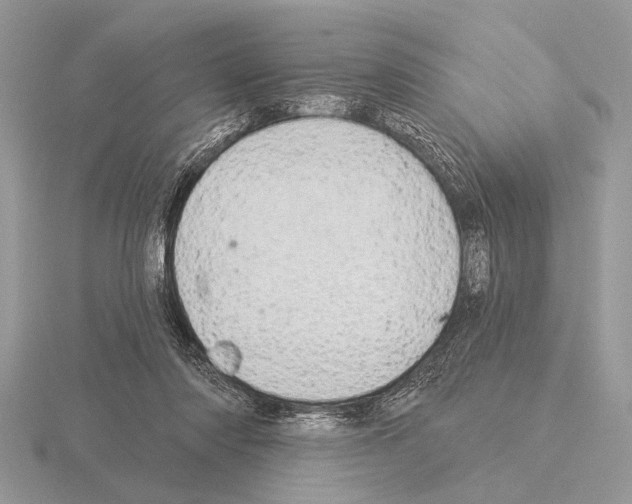 X0000115330310200912141225