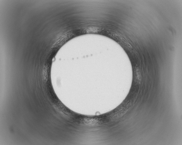 X0000115330311200912141225