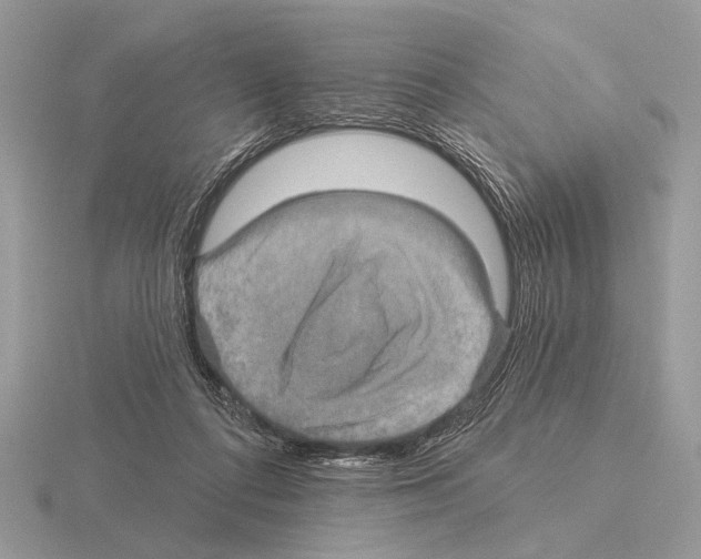 X0000115330312200912141225