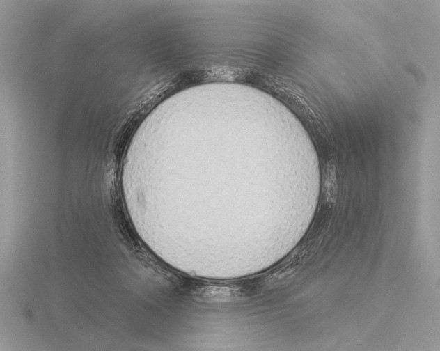 X0000115330314200912141225