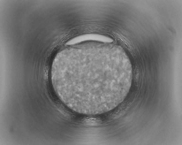 X0000115330315200912141224