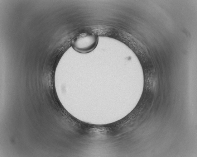 X0000115330317200912141224