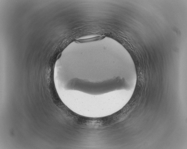 X0000115330319200912141224