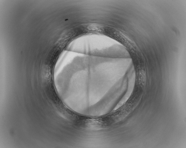 X0000115330320200912141224