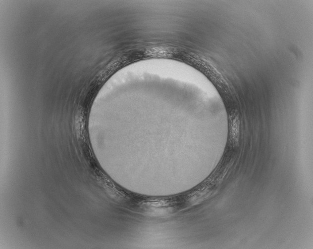 X0000115330322200912141224