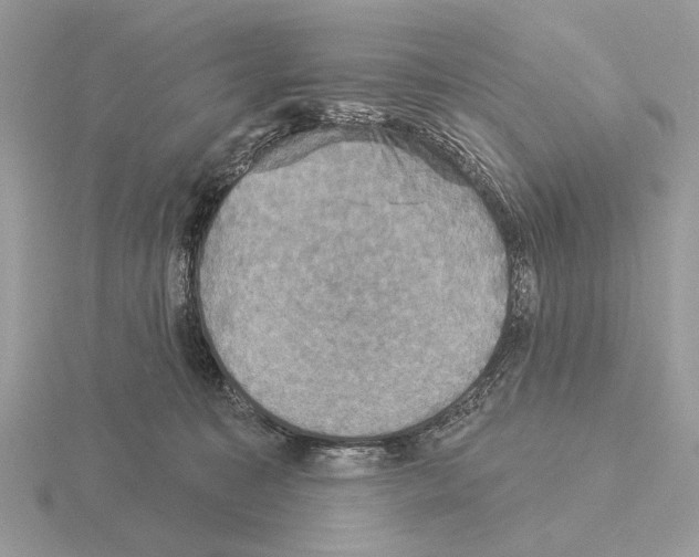 X0000115330323200912141224