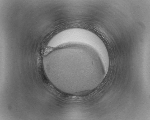 X0000115330324200912141224