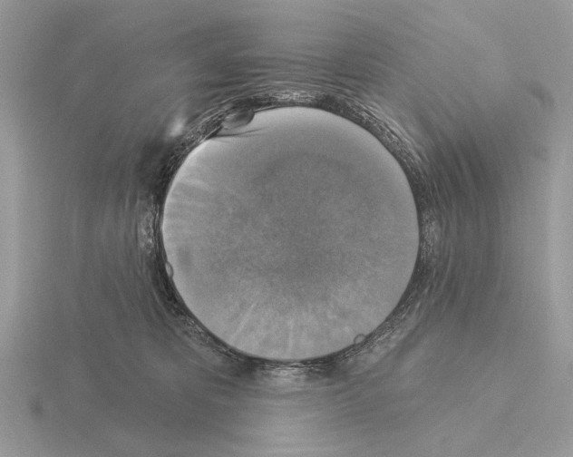 X0000115330325200912141224