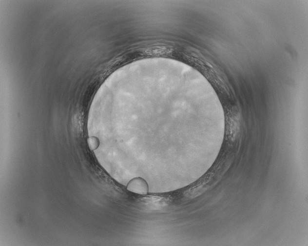 X0000115330326200912141224