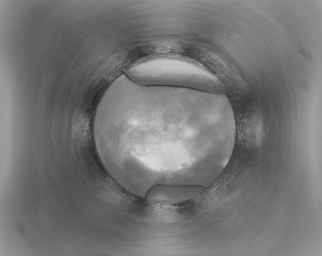 X0000115330327200912141224