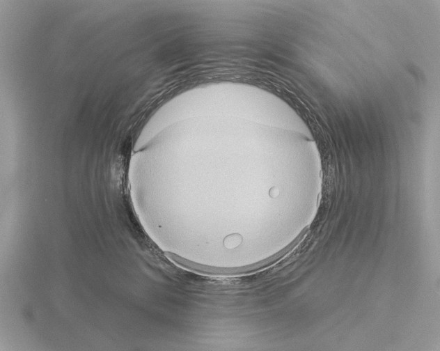 X0000115330328200912141224