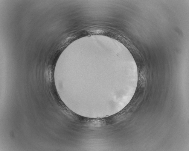 X0000115330330200912141224