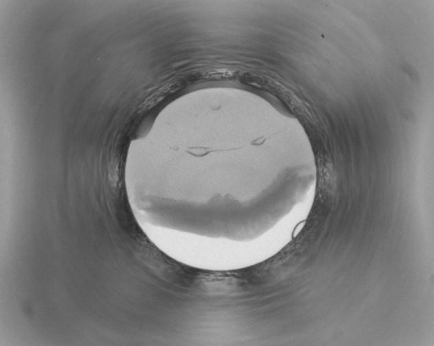 X0000115330331200912141224