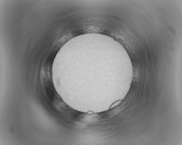 X0000115330334200912141224