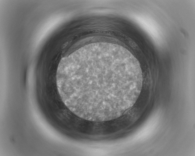 X0000115330335200912141224