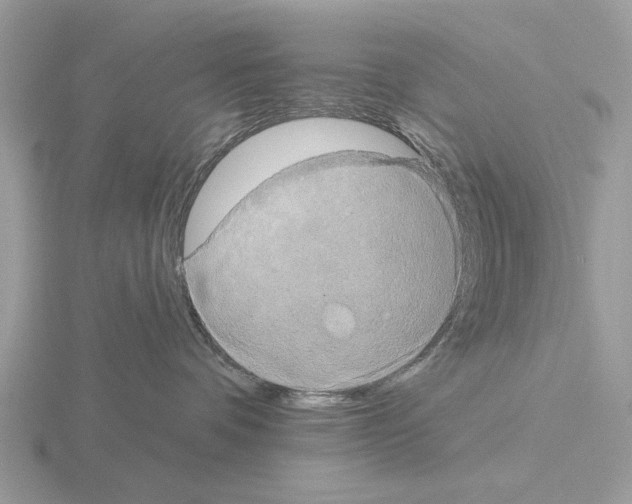 X0000115330336200912141224