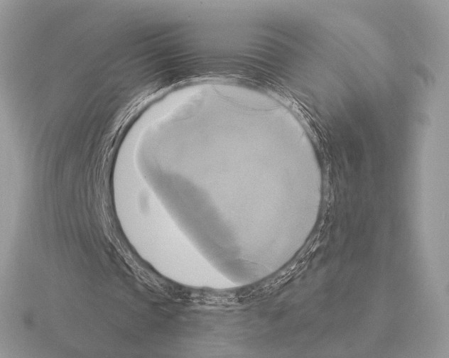 X0000115330337200912141224