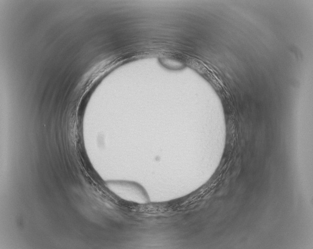 X0000115330338200912141224