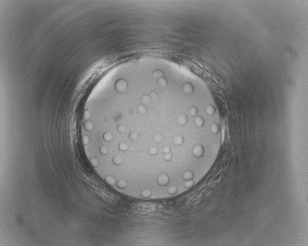 X0000115330339200912141224