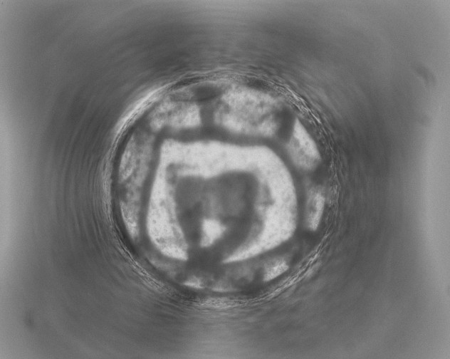 X0000115330341200912141224