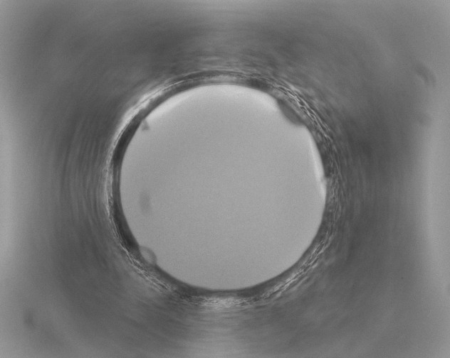 X0000115330342200912141224