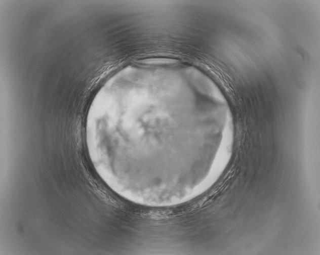 X0000115330345200912141224