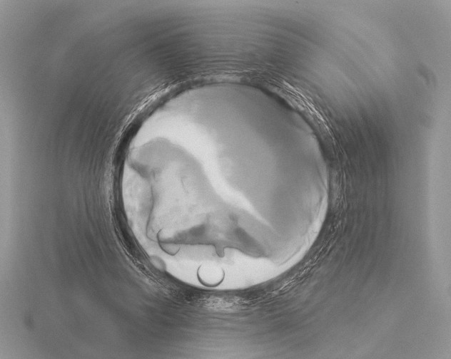 X0000115330346200912141224