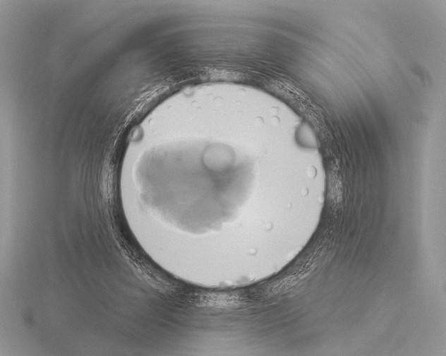 X0000115330347200912141224