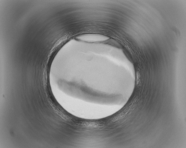 X0000115330349200912141224