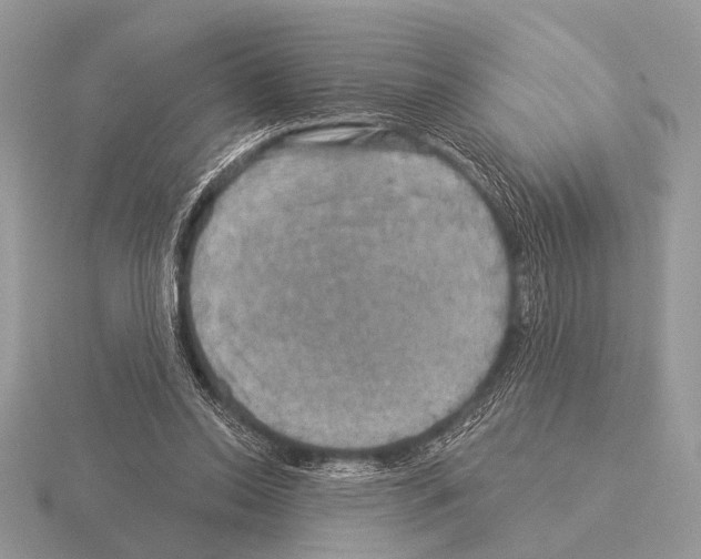 X0000115330350200912141224