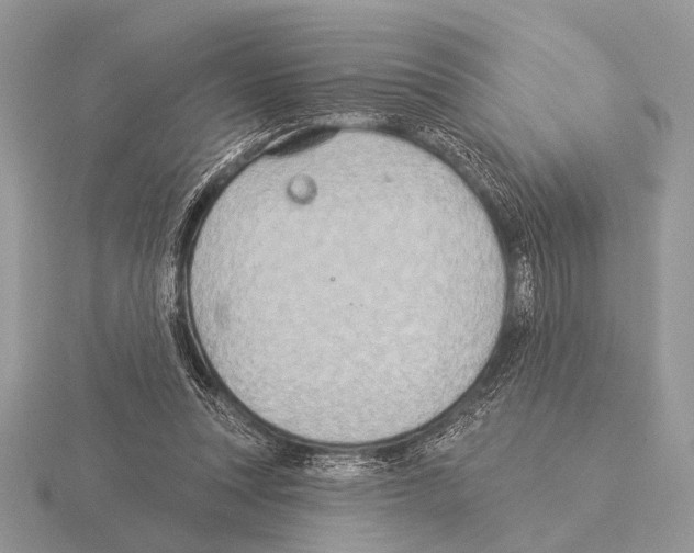 X0000115330351200912141224