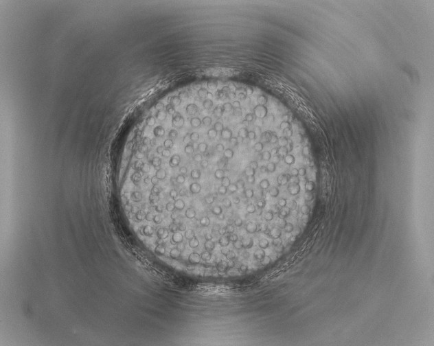 X0000115330354200912141224