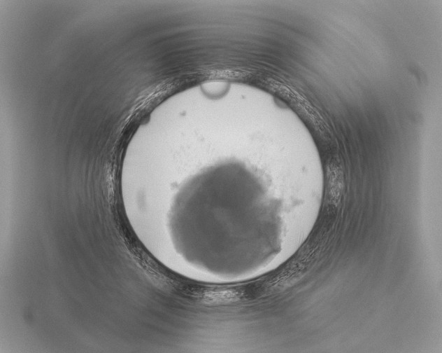 X0000115330357200912141224