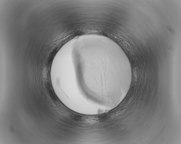 X0000115330359200912141224