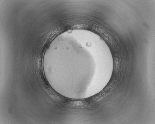 X0000115330361200912141224