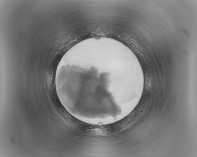 X0000115330365200912141224