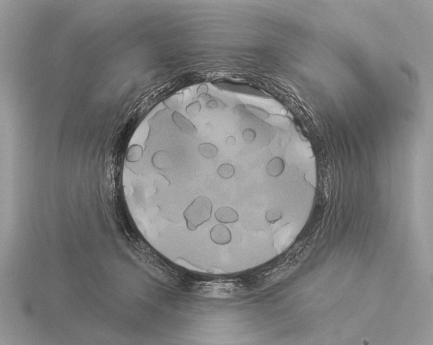 X0000115330366200912141224