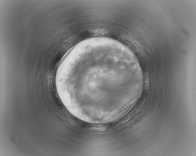 X0000115330369200912141224