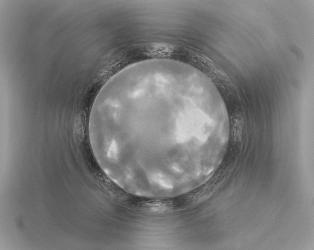 X0000115330370200912141224