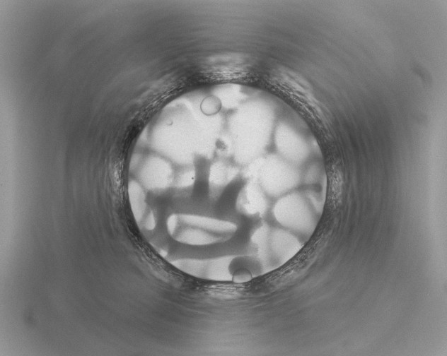 X0000115330373200912141224