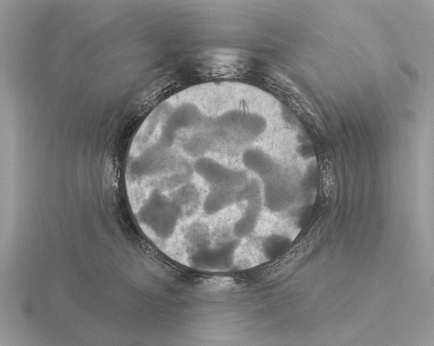 X0000115330374200912141224