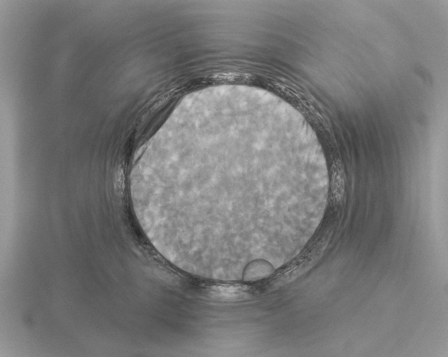 X0000115330375200912141224