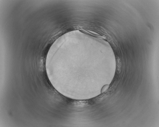 X0000115330378200912141224