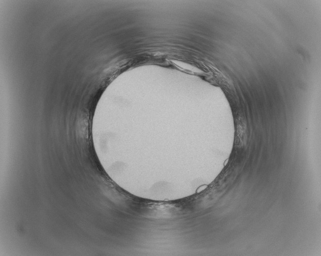 X0000115330379200912141224