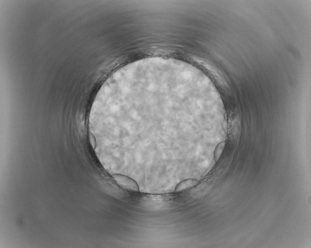 X0000115330381200912141224