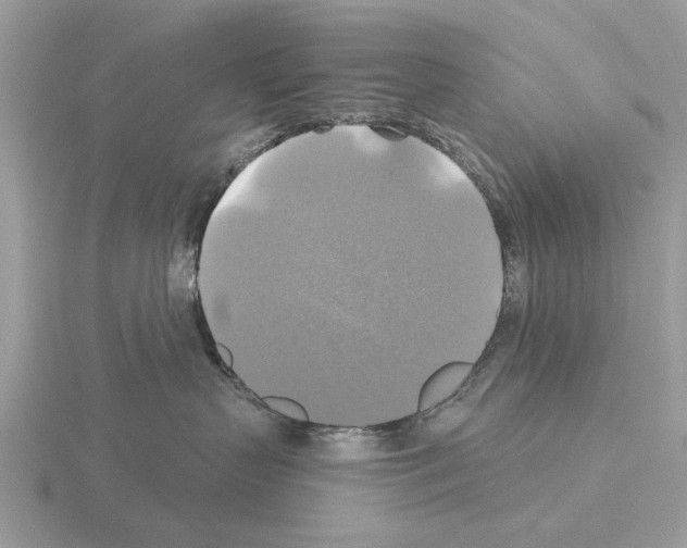 X0000115330383200912141224